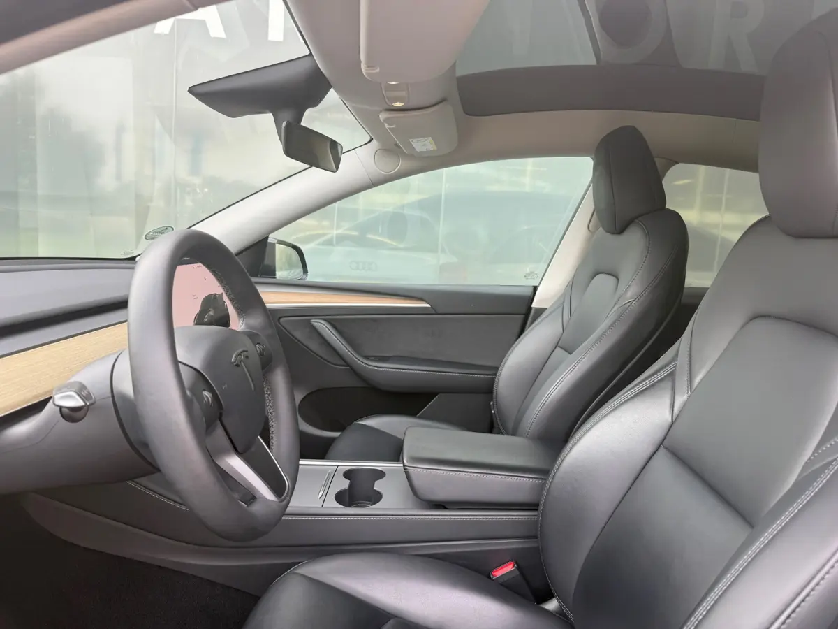 RWD 58 kWh 91% SOH LFP Autopilot