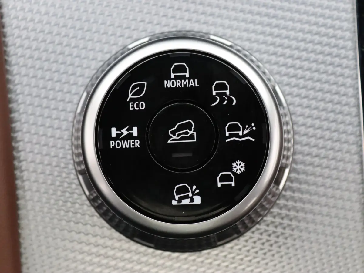 306pk PHEV Instyle+ Apple Carplay/Android Auto | Climate