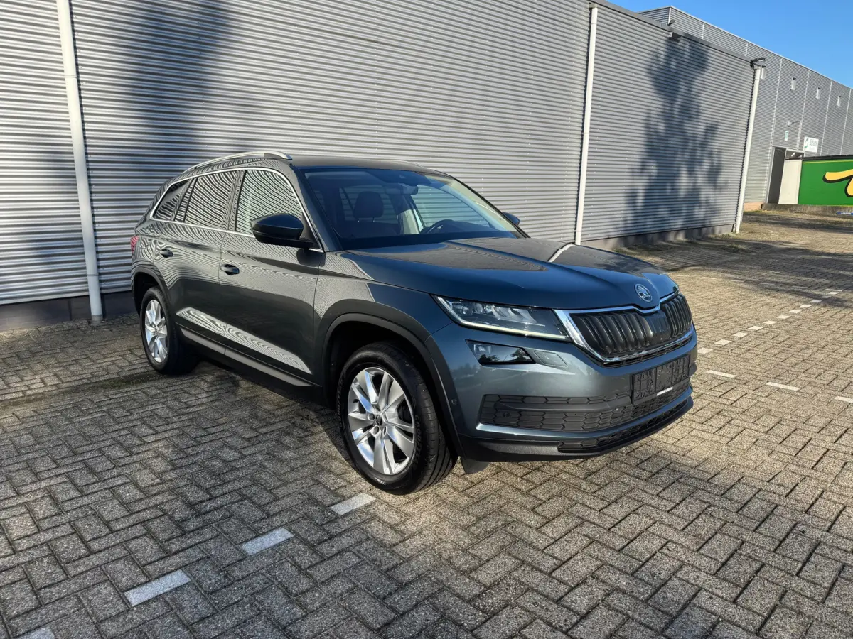2.0 TSI 4x4 Style Business 7p.Leder/Alc,Cruisecontrol,Verkl.Trekhaak,