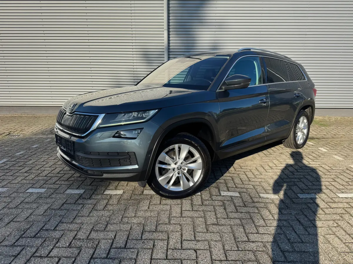 2.0 TSI 4x4 Style Business 7p.Leder/Alc,Cruisecontrol,Verkl.Trekhaak,