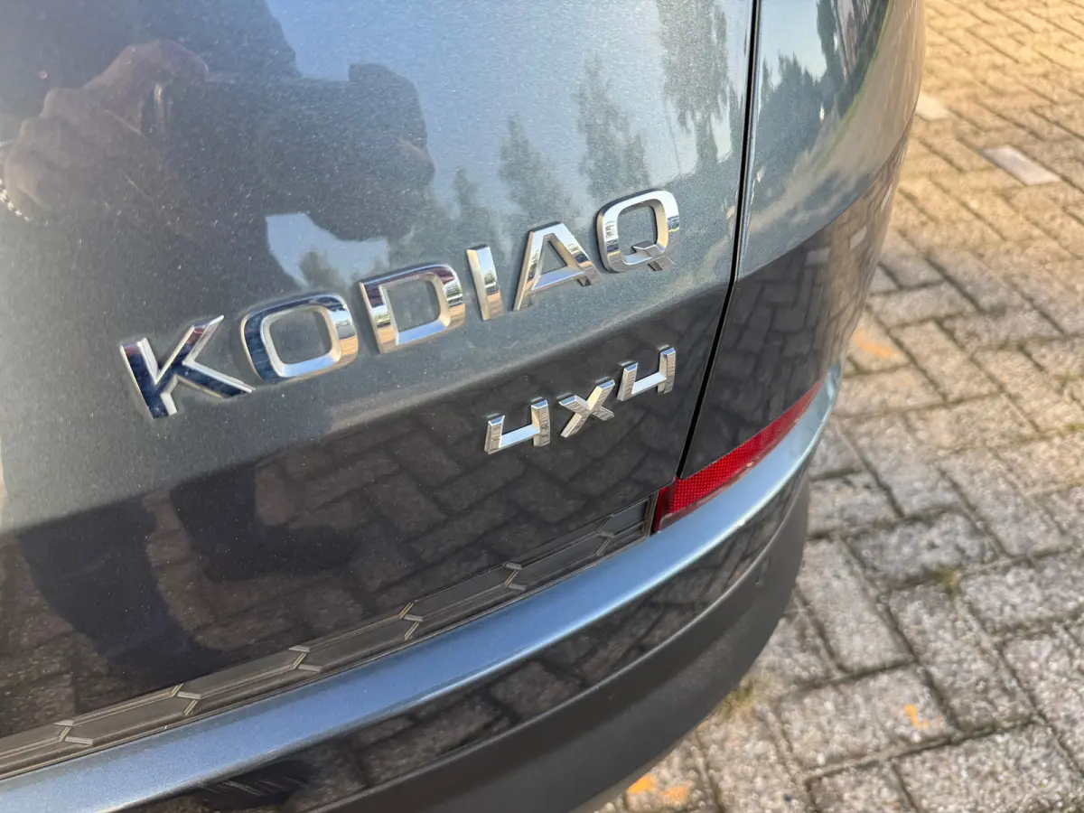 2.0 TSI 4x4 Style Business 7p.Leder/Alc,Cruisecontrol,Verkl.Trekhaak,