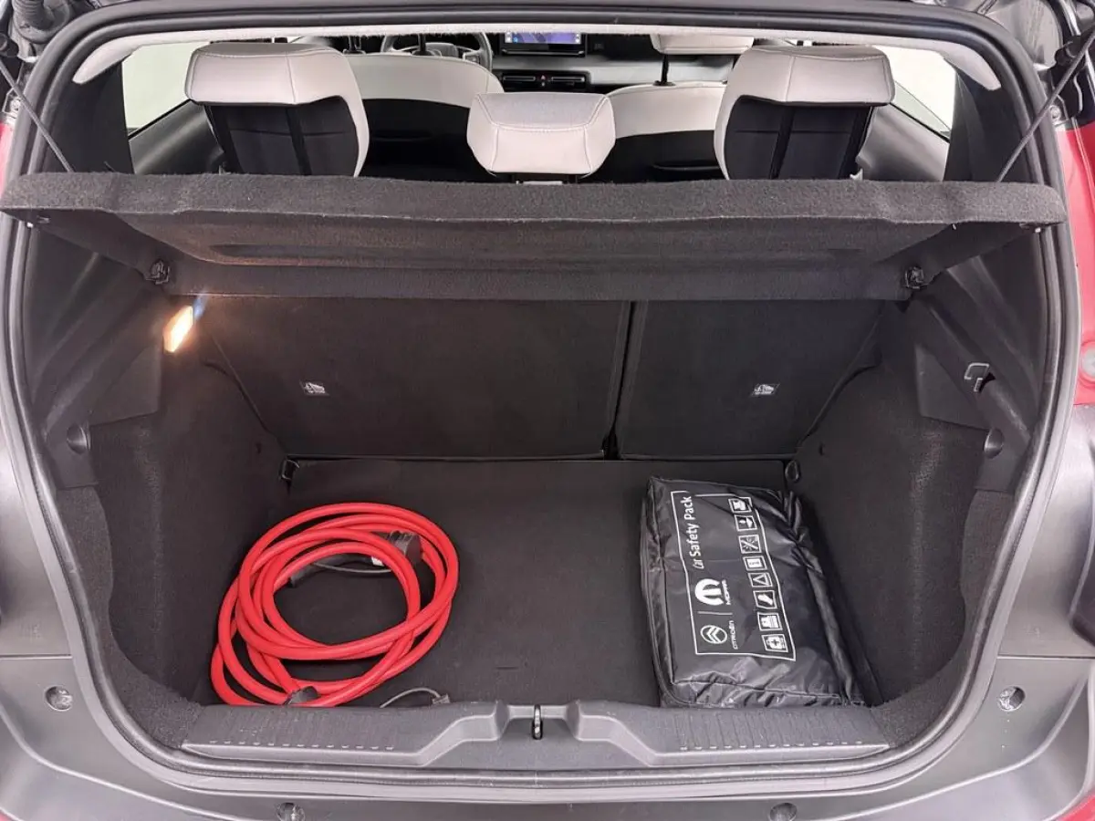 Max 113pk 44 kWh /Cruise/Navi/Cam/Clima
