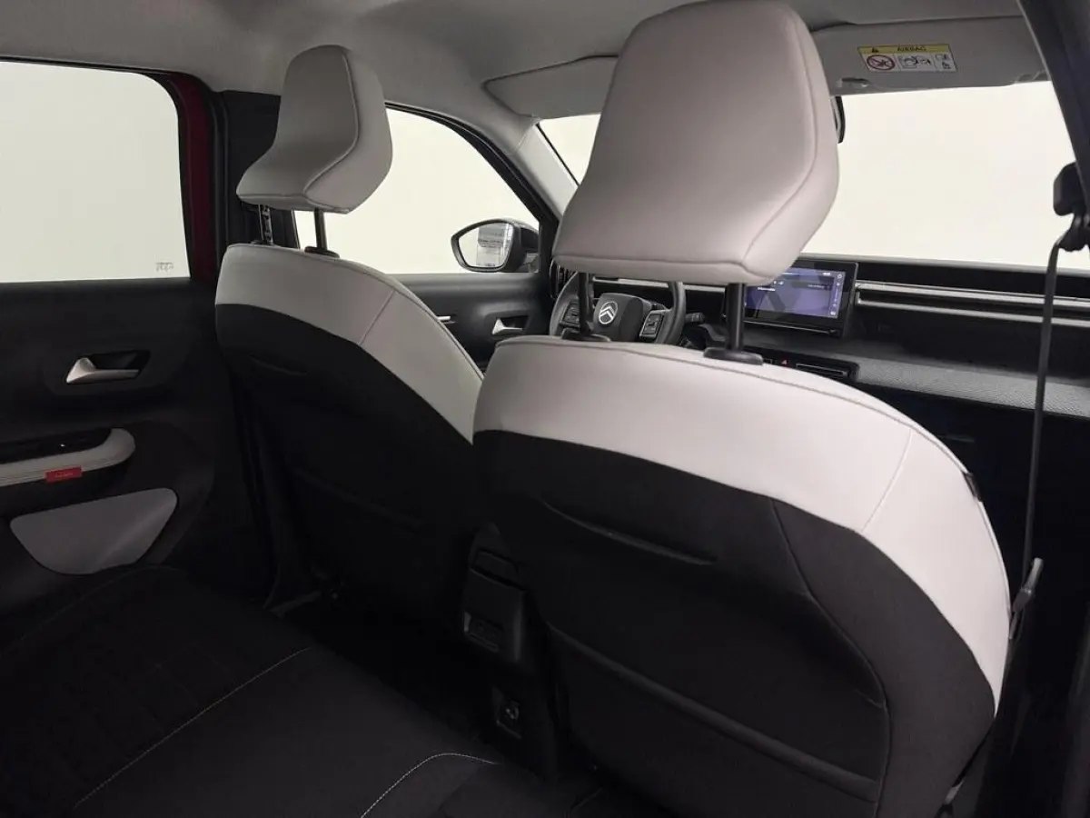 Max 113pk 44 kWh /Cruise/Navi/Cam/Clima