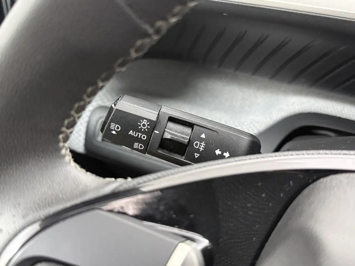 Max 113pk 44 kWh /Cruise/Navi/Cam/Clima