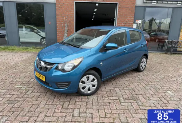 1.0 ecoFLEX 120 Jaar Edition 1e Eig.