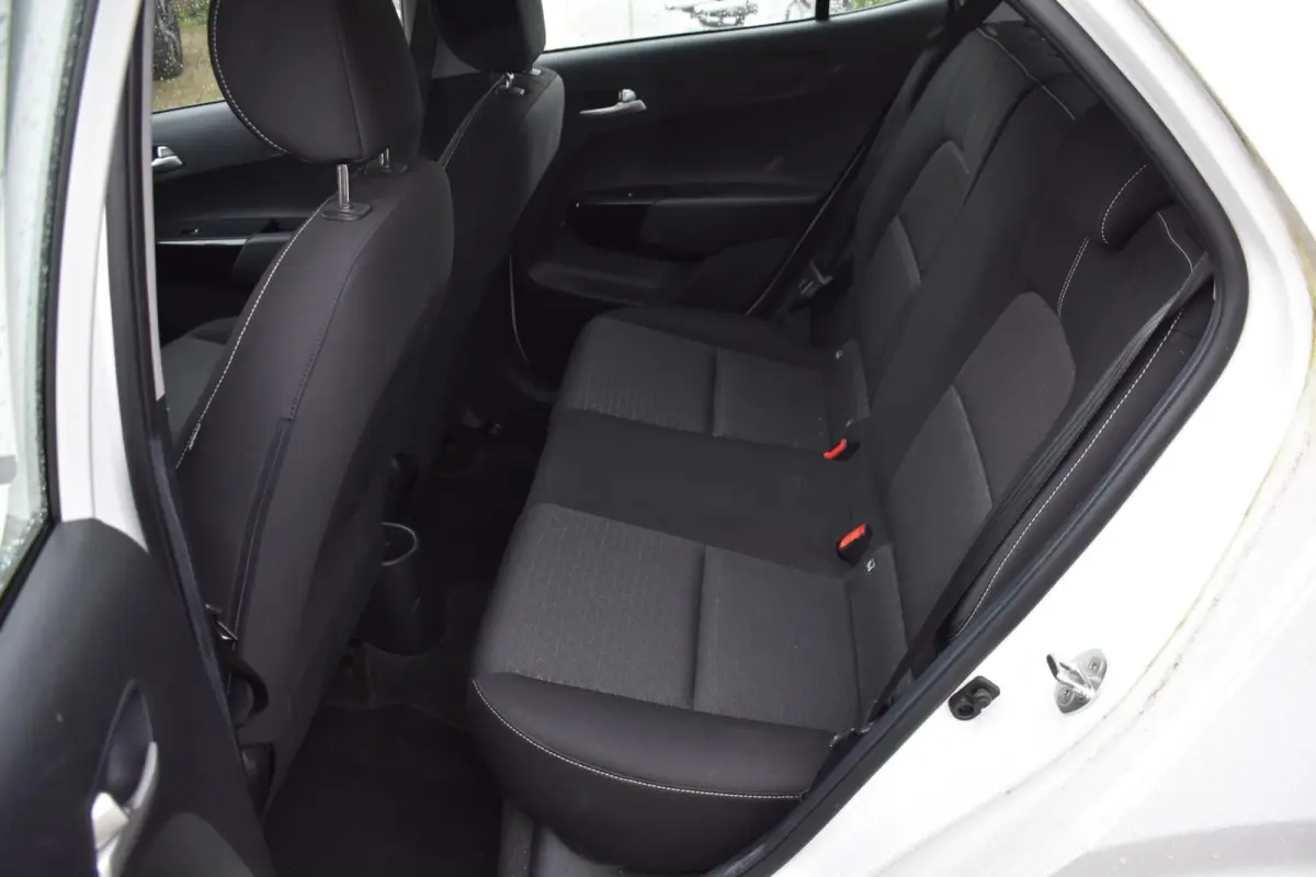 1.0 DPi DynamicLine 5p | Carplay | Cruise Control | Airco