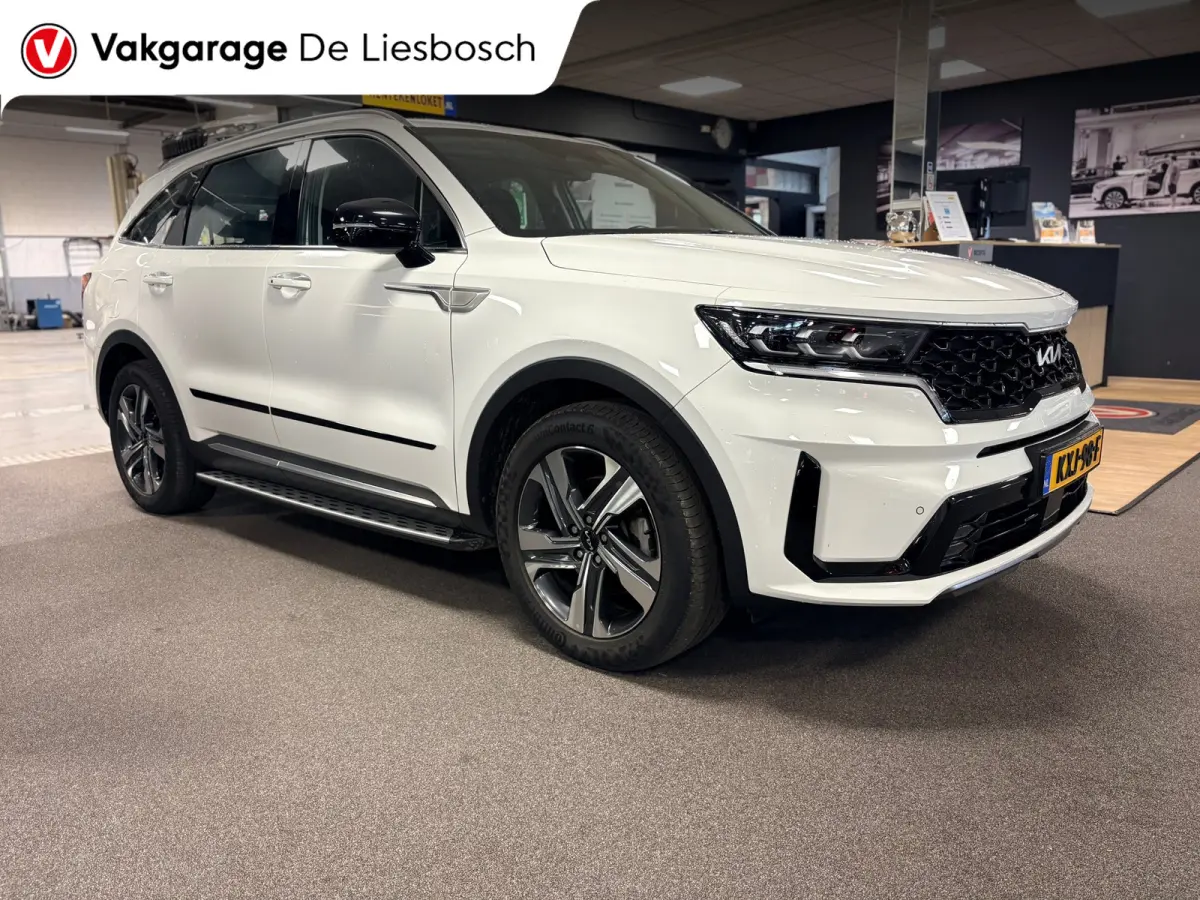 1.6 T-GDI Plug-in Hybrid 4WD DynamicLine 7persoons / stoelverwarming / camera / trekhaak