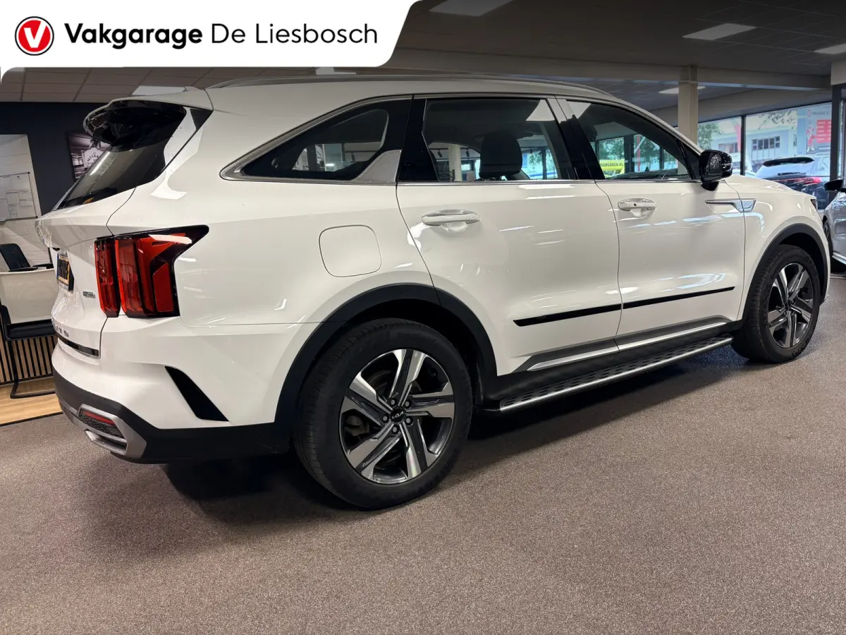 1.6 T-GDI Plug-in Hybrid 4WD DynamicLine 7persoons / stoelverwarming / camera / trekhaak