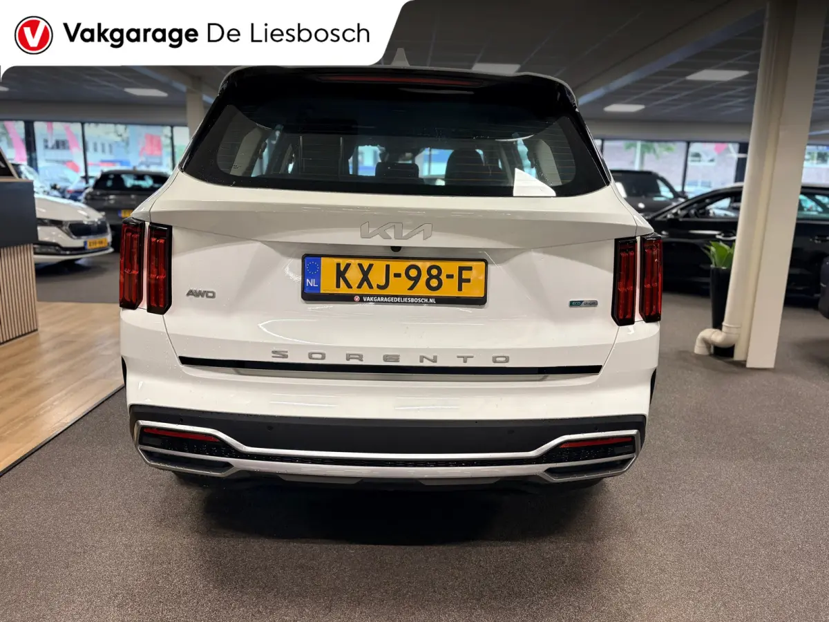 1.6 T-GDI Plug-in Hybrid 4WD DynamicLine 7persoons / stoelverwarming / camera / trekhaak