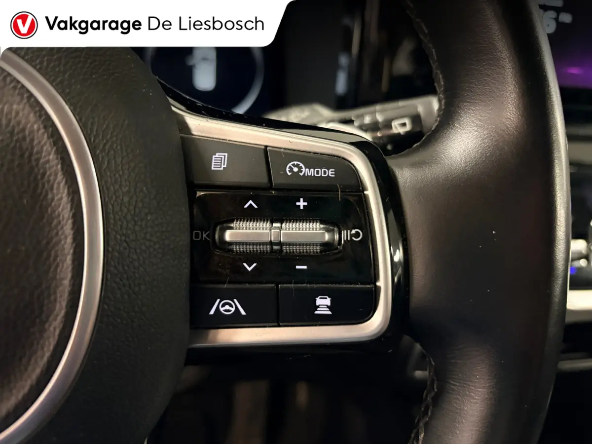 1.6 T-GDI Plug-in Hybrid 4WD DynamicLine 7persoons / stoelverwarming / camera / trekhaak