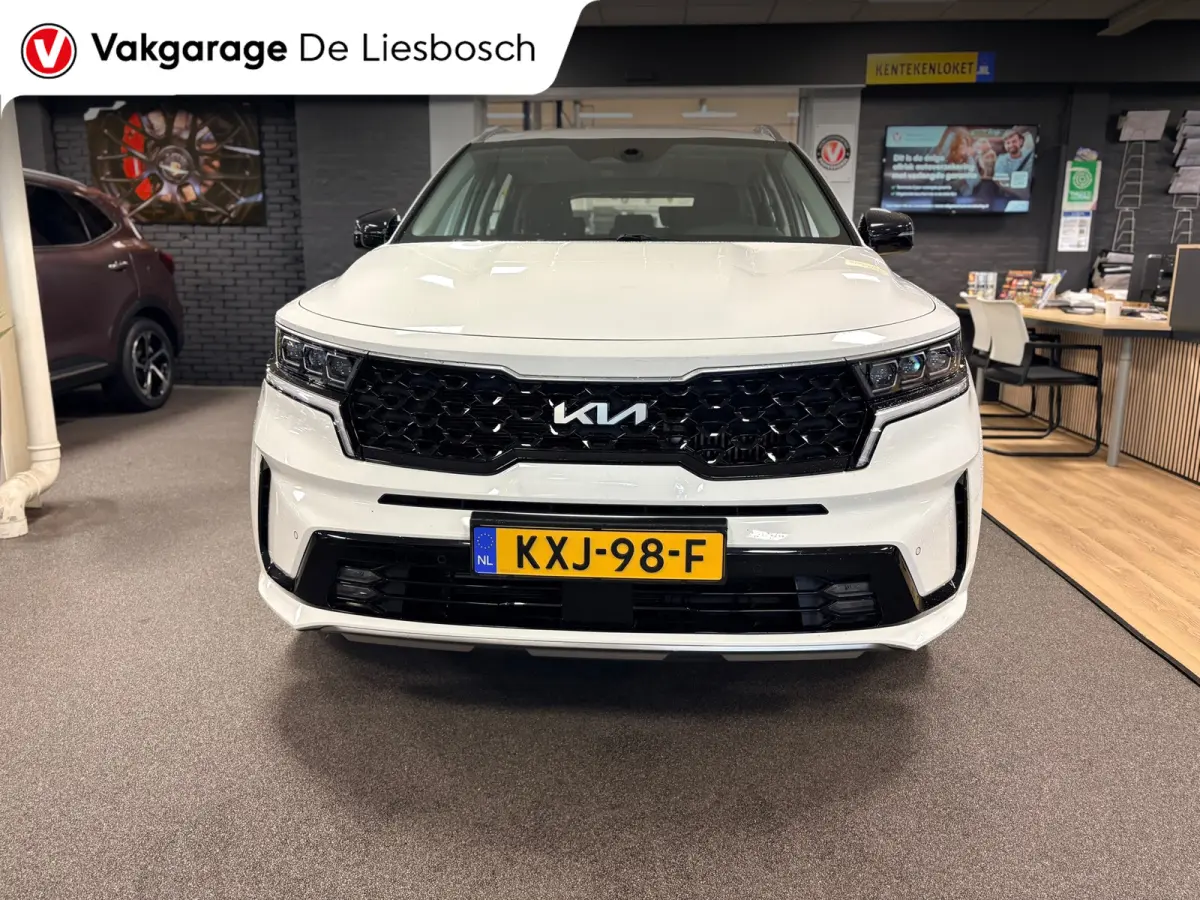 1.6 T-GDI Plug-in Hybrid 4WD DynamicLine 7persoons / stoelverwarming / camera / trekhaak