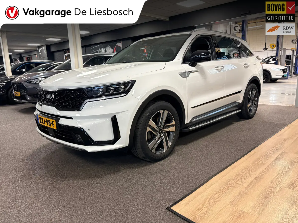 1.6 T-GDI Plug-in Hybrid 4WD DynamicLine 7persoons / stoelverwarming / camera / trekhaak