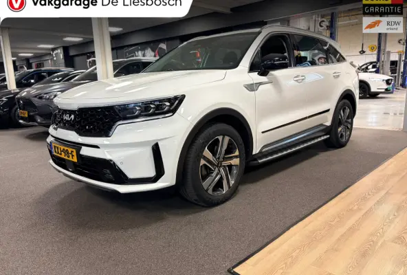 1.6 T-GDI Plug-in Hybrid 4WD DynamicLine 7persoons / stoelverwarming / camera / trekhaak