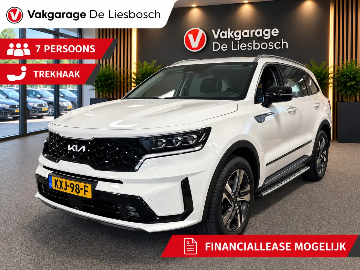 1.6 T-GDI Plug-in Hybrid 4WD DynamicLine 7persoons / stoelverwarming / camera / trekhaak