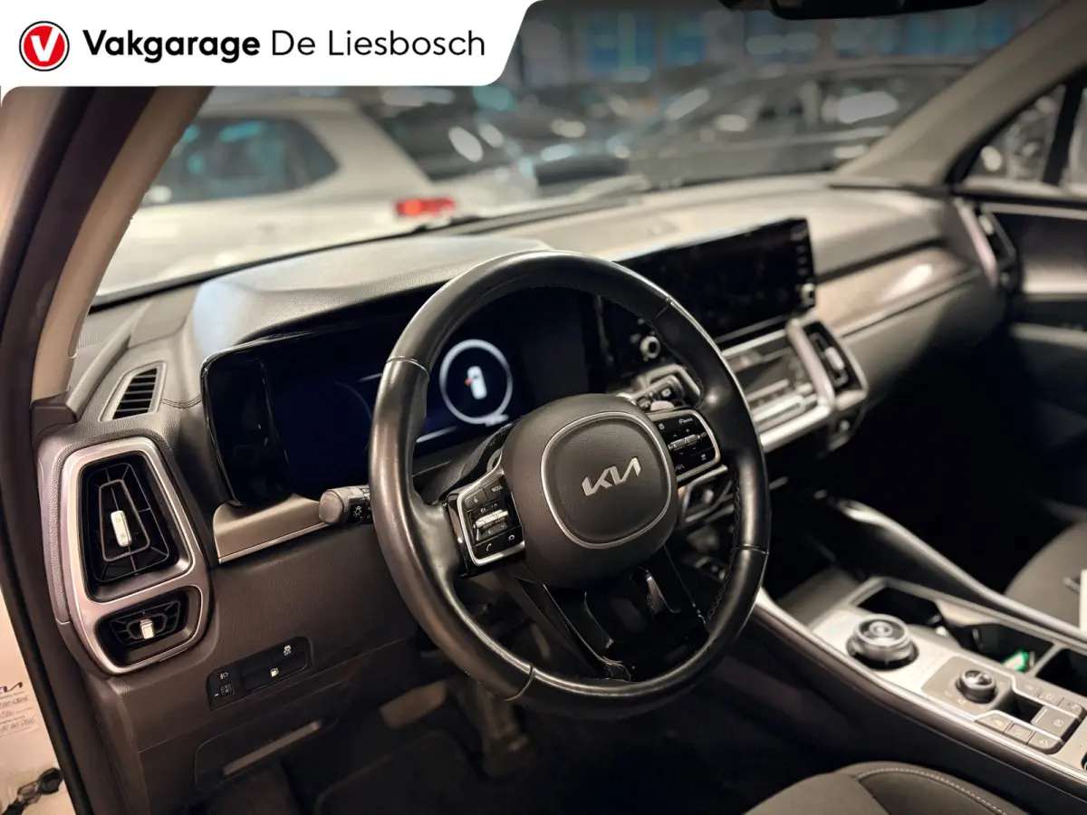 1.6 T-GDI Plug-in Hybrid 4WD DynamicLine 7persoons / stoelverwarming / camera / trekhaak