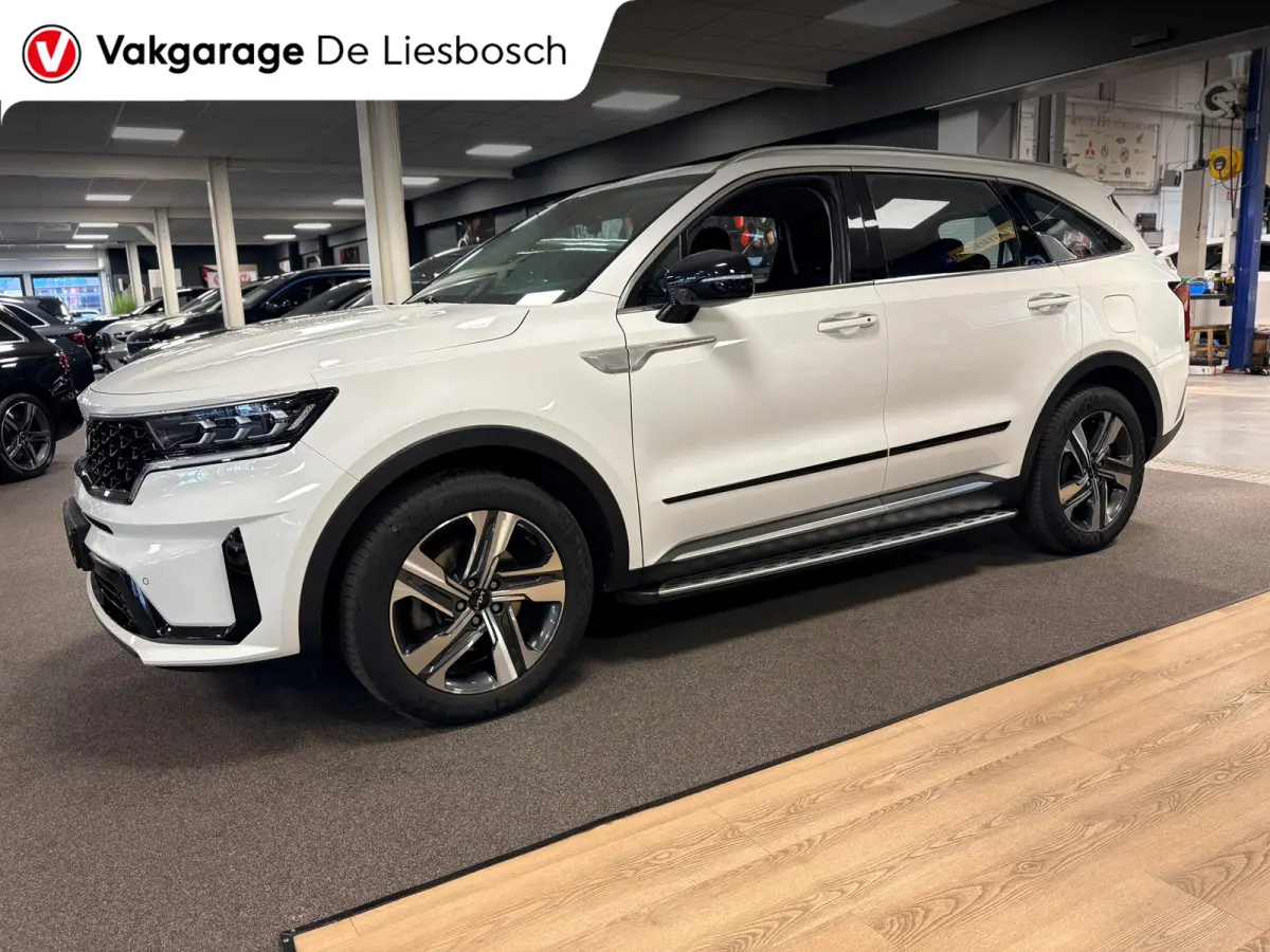 1.6 T-GDI Plug-in Hybrid 4WD DynamicLine 7persoons / stoelverwarming / camera / trekhaak