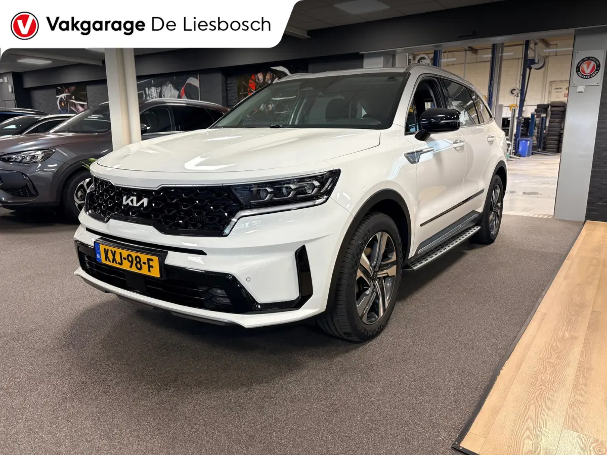 1.6 T-GDI Plug-in Hybrid 4WD DynamicLine 7persoons / stoelverwarming / camera / trekhaak