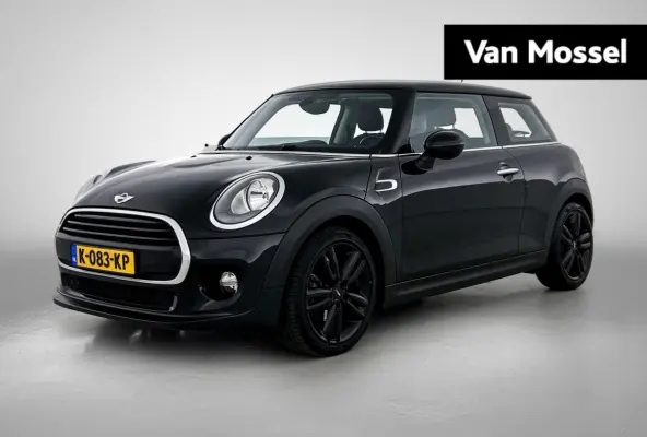 1.2 One Pepper Business | STOELVERWARMING | CRUISE CONTROL | CLIMATE CONTROL | LICHTMETALEN VELGEN |
