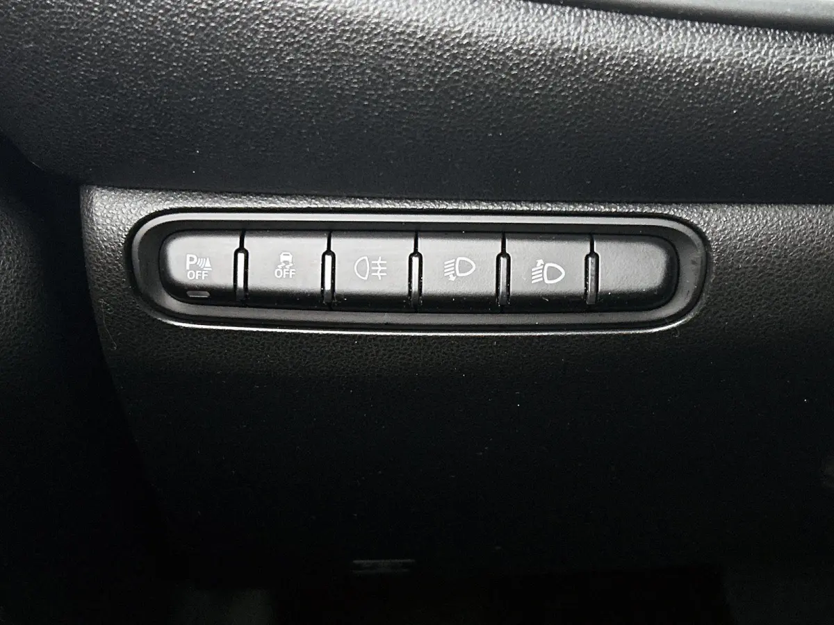 Icon 42 kWh | Apple Carplay/Android Auto | Climate Control | Adaptieve Cruise Control | Camera | Dodehoekdetectie | 16"LMV | LED |