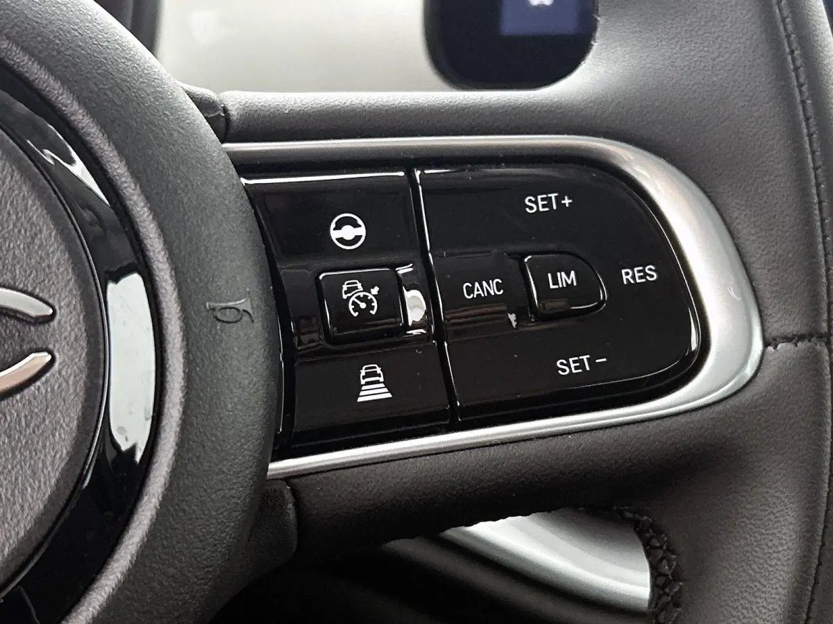 Icon 42 kWh | Apple Carplay/Android Auto | Climate Control | Adaptieve Cruise Control | Camera | Dodehoekdetectie | 16"LMV | LED |