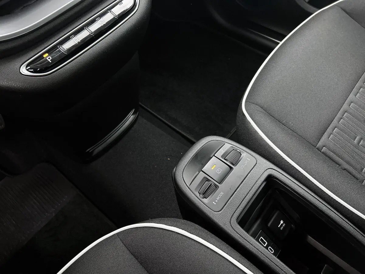 Icon 42 kWh | Apple Carplay/Android Auto | Climate Control | Adaptieve Cruise Control | Camera | Dodehoekdetectie | 16"LMV | LED |
