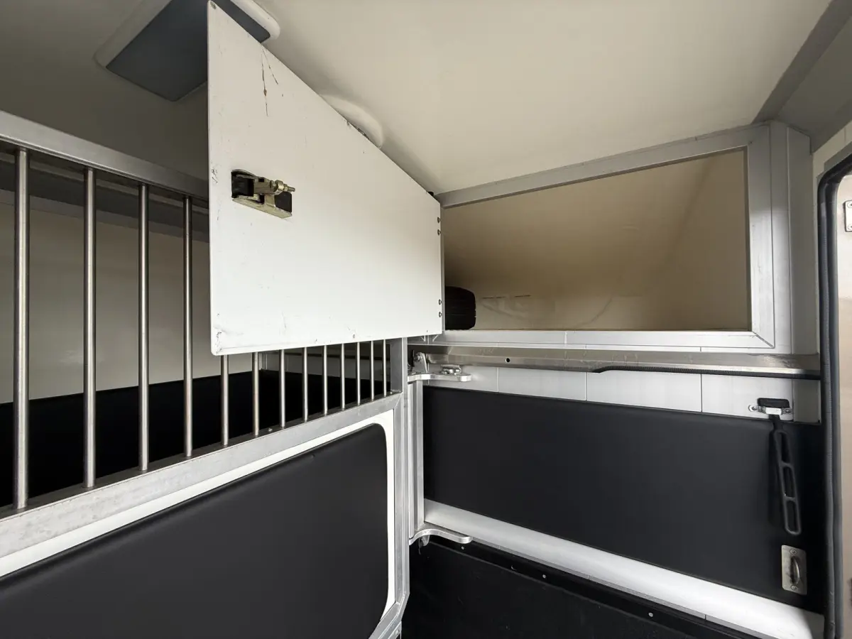 | HORSETRUCK | STX | STALLION 3XL | 2020 | HENGST | 66.064KM | 3-SEAT | MANUAL | L3 | 165PK | LUXE | BELGISCH KENTEKEN