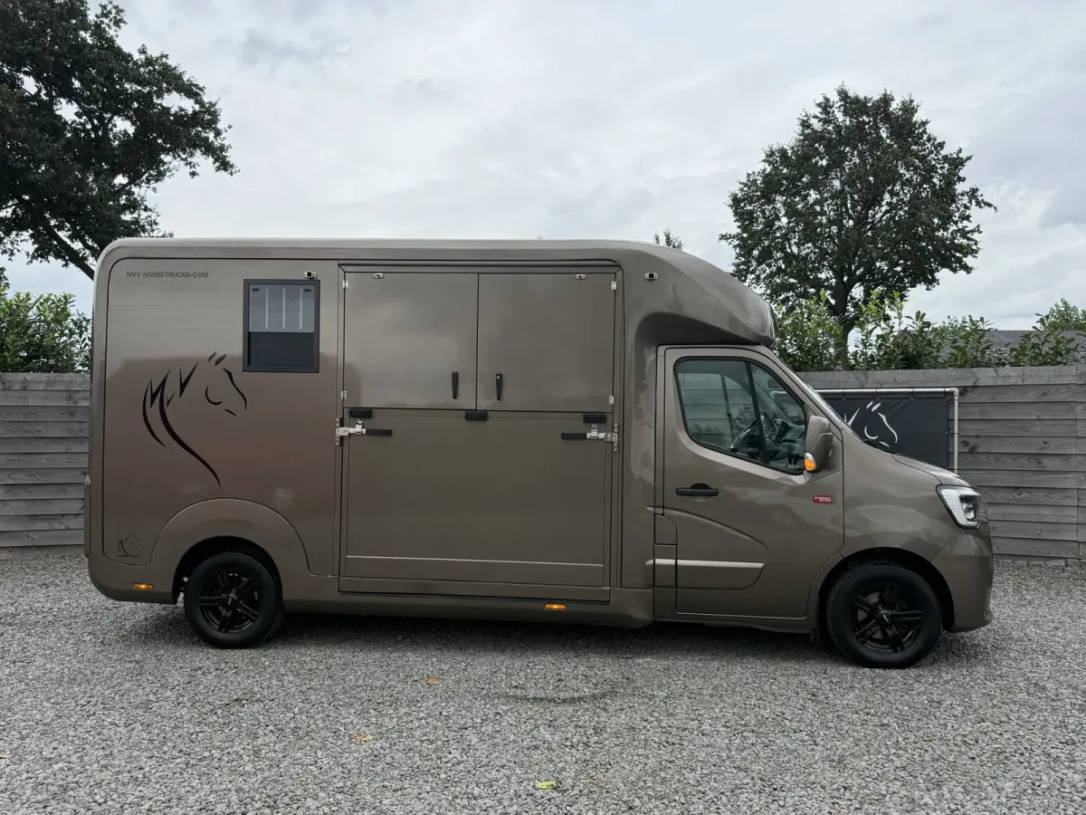 | HORSETRUCK | STX | STALLION 3XL | 2020 | HENGST | 66.064KM | 3-SEAT | MANUAL | L3 | 165PK | LUXE | BELGISCH KENTEKEN