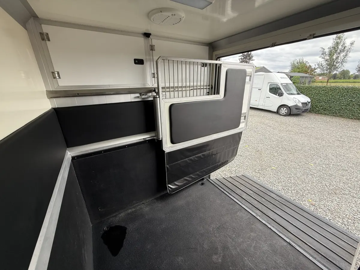 | HORSETRUCK | STX | STALLION 3XL | 2020 | HENGST | 66.064KM | 3-SEAT | MANUAL | L3 | 165PK | LUXE | BELGISCH KENTEKEN