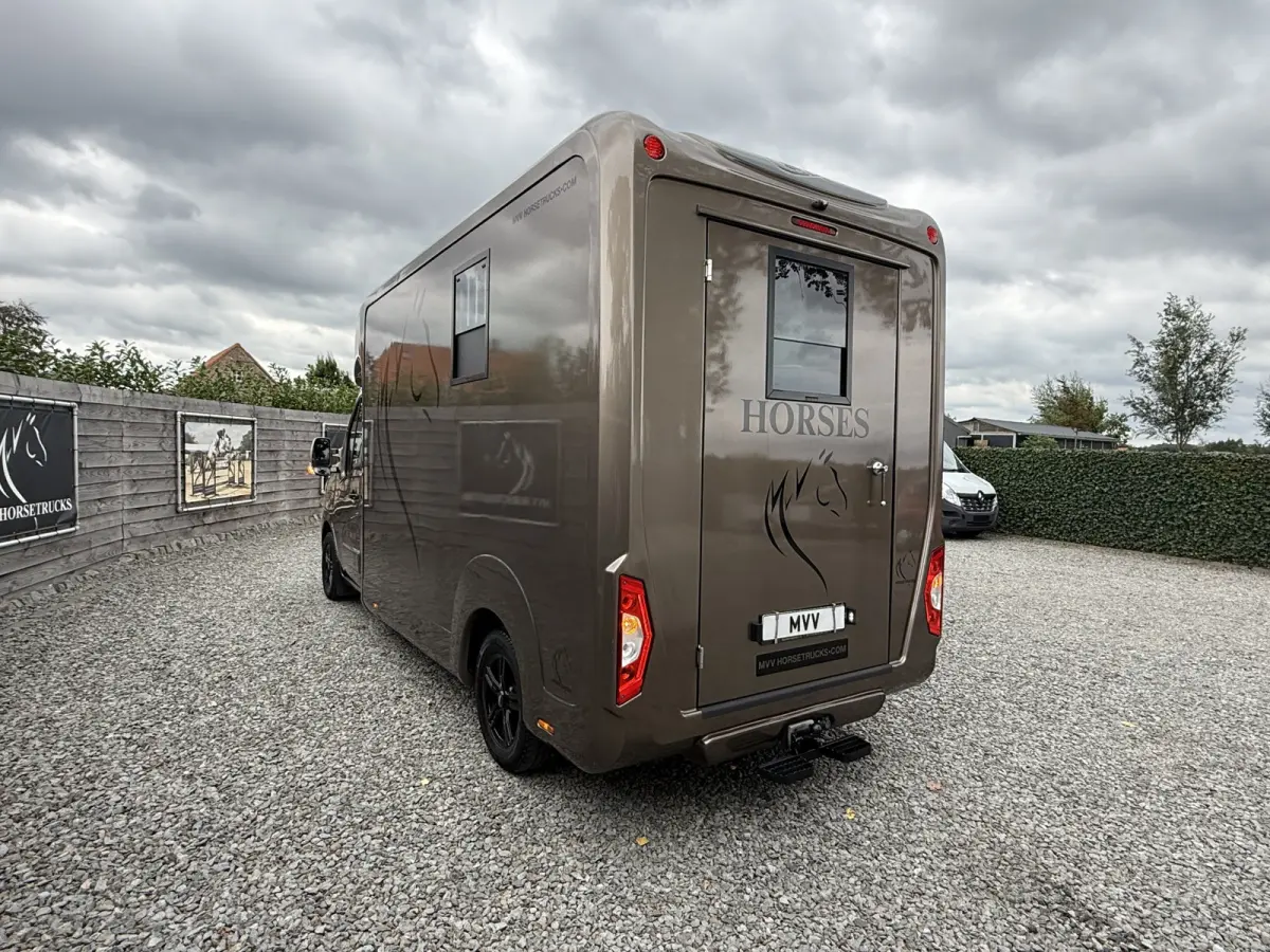 | HORSETRUCK | STX | STALLION 3XL | 2020 | HENGST | 66.064KM | 3-SEAT | MANUAL | L3 | 165PK | LUXE | BELGISCH KENTEKEN