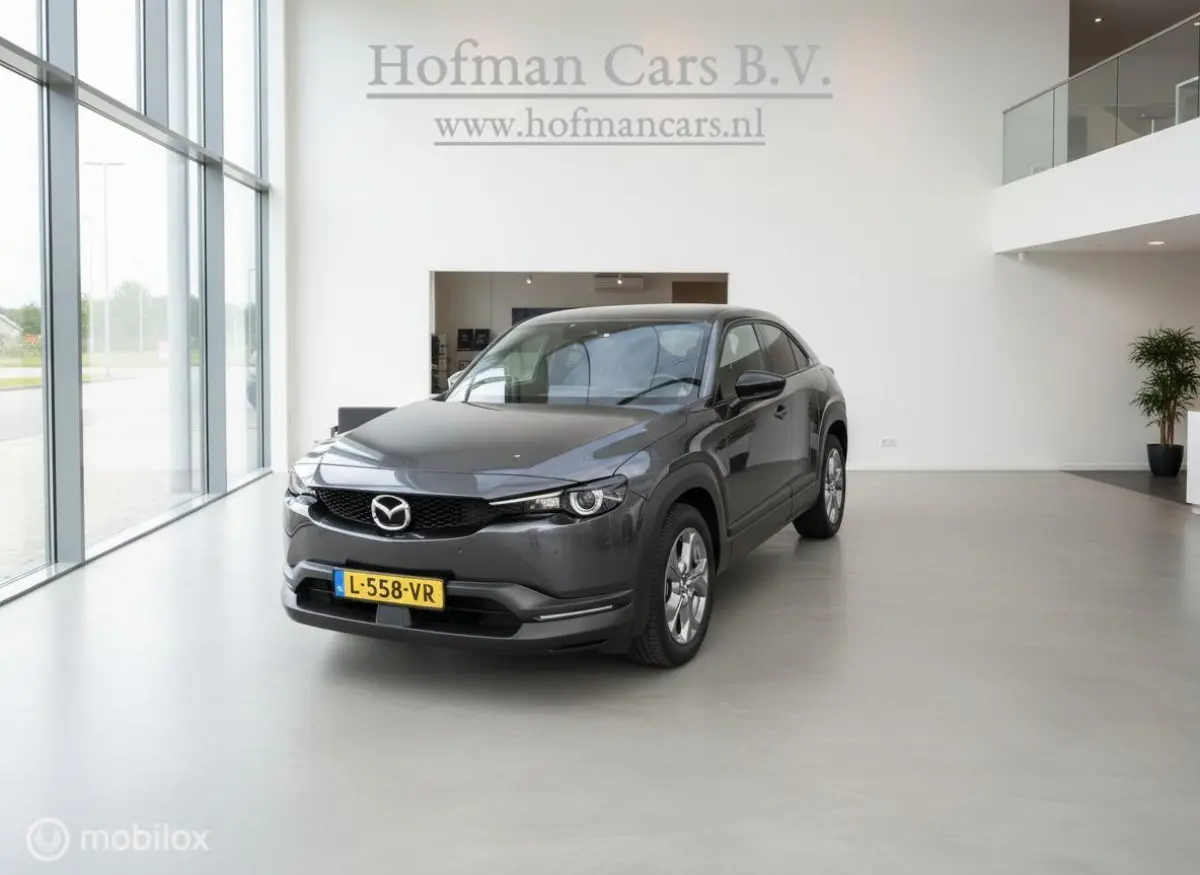 e-SkyActiv 145 | 36 kWh | SOH 93% | MOBA | 69.679 km