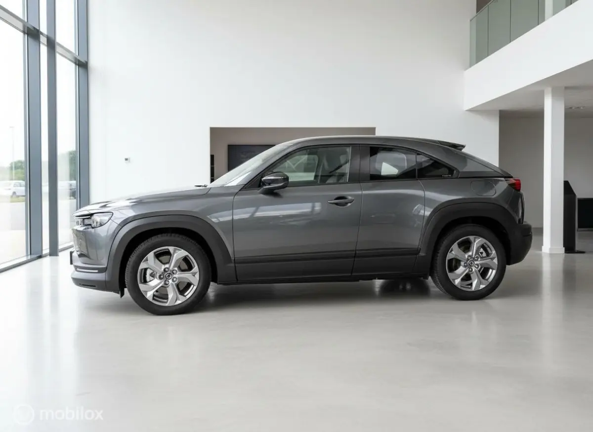 e-SkyActiv 145 | 36 kWh | SOH 93% | MOBA | 69.679 km