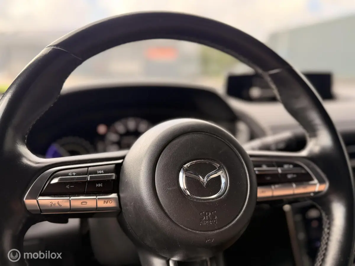 e-SkyActiv 145 | 36 kWh | SOH 93% | MOBA | 69.679 km
