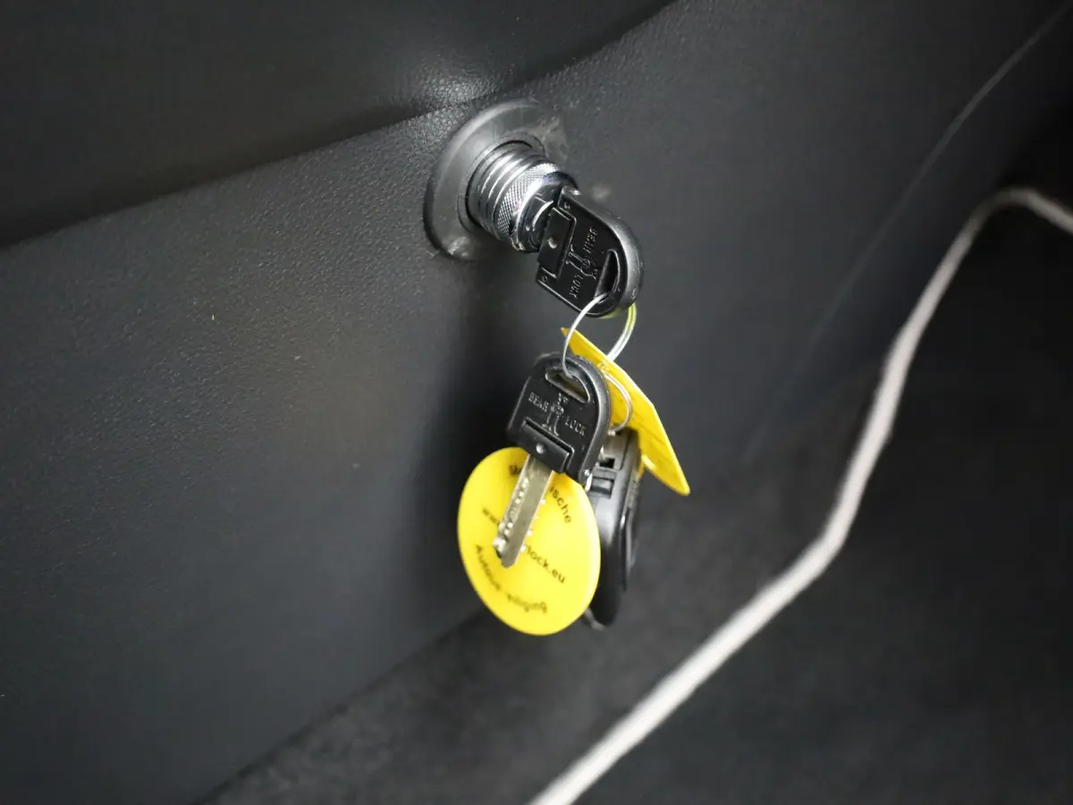 2.5 Hybrid Executive | Bear Lock | Memory Seat | 360 camera | Elk. A-klep | Trekhaak afnb. | BSM | Prijs Rijklaar!!