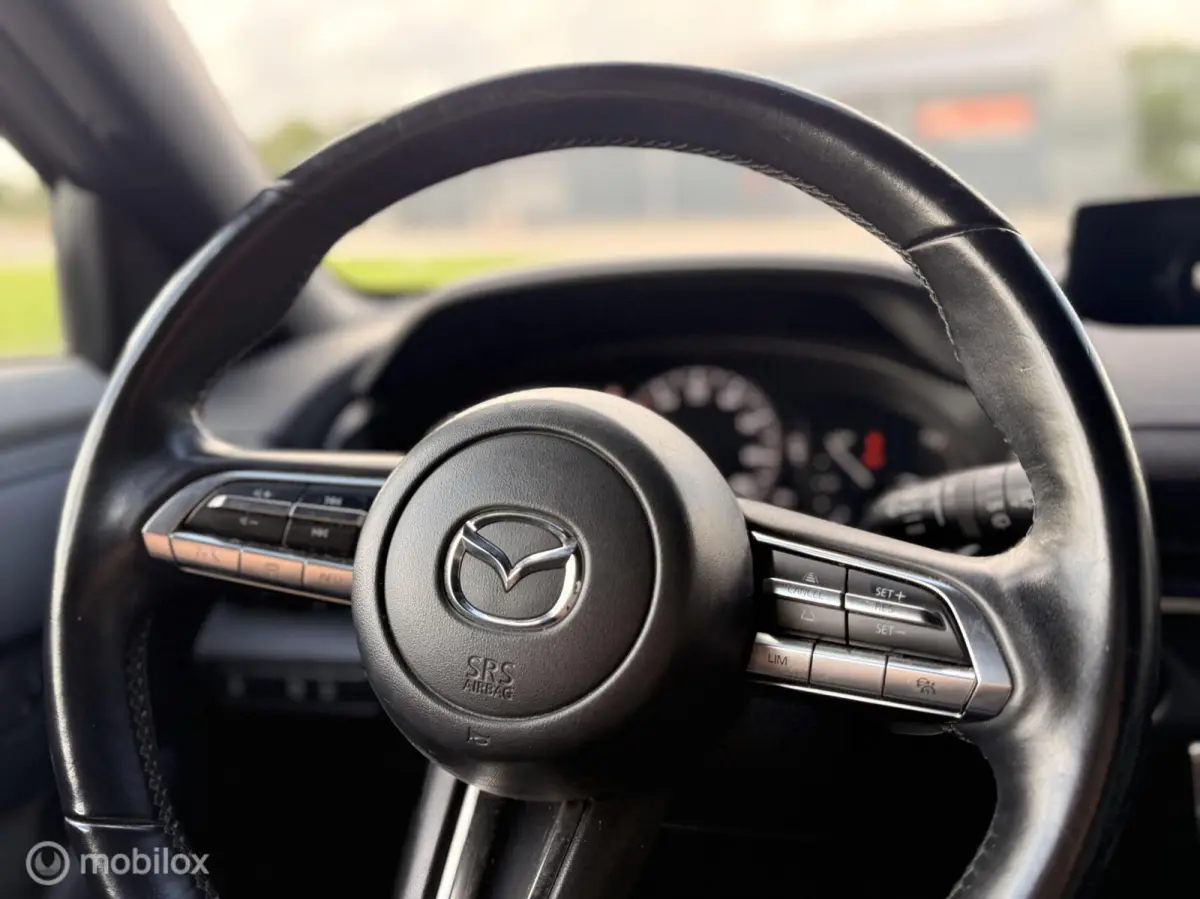 e-SkyActiv 145 | 36 kWh | SOH 93% | 74.768 km | Ceramic