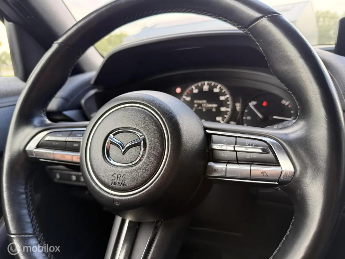 e-SkyActiv 145 | 36 kWh | SOH 91% | Interieurpakket | Half Leder | HUD
