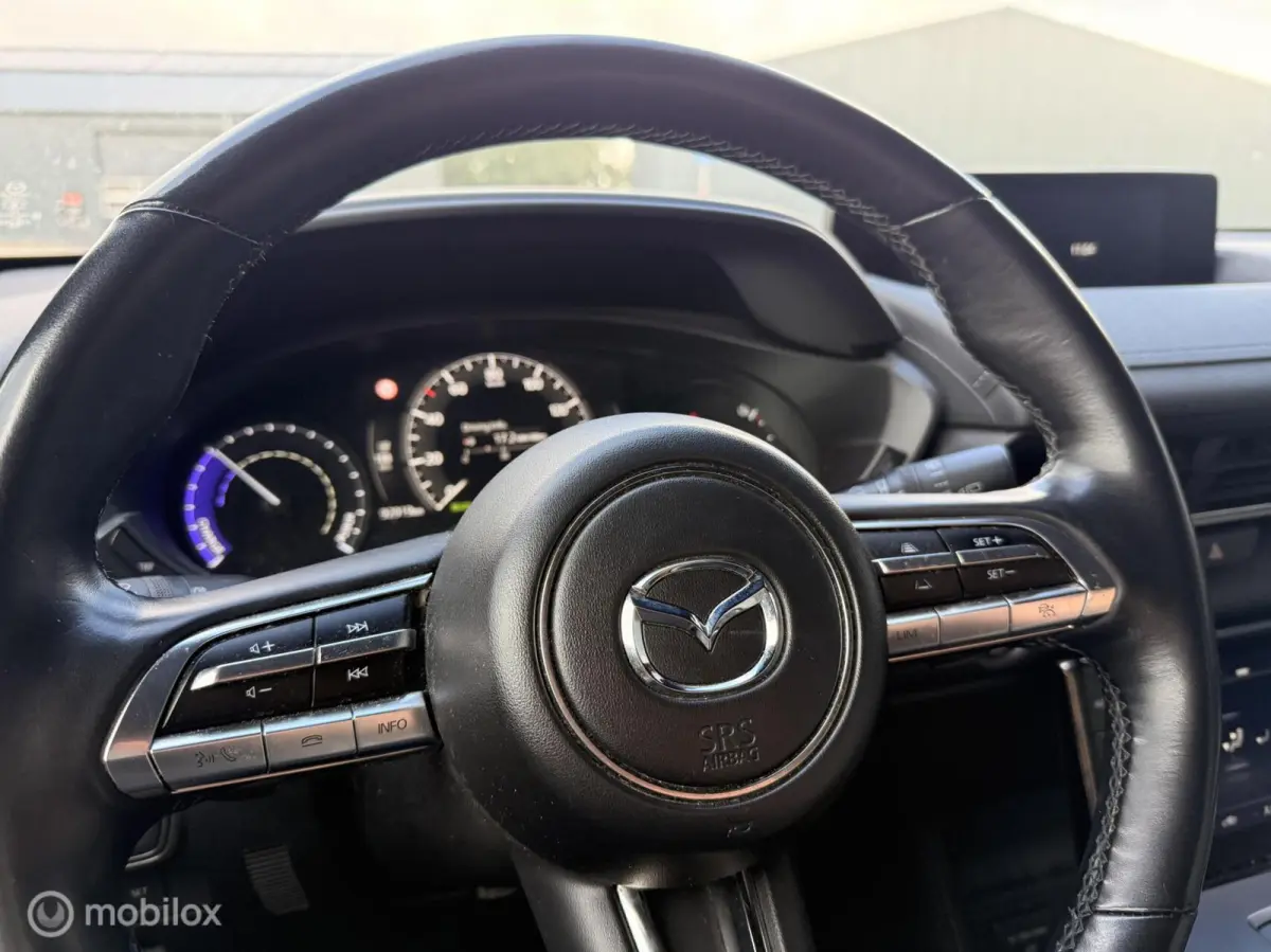 e-SkyActiv 145 | 36 kWh | SOH 91% | Interieurpakket | Half Leder | HUD