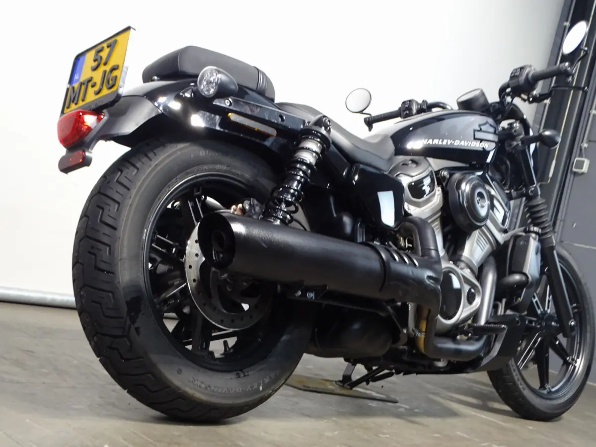 NIGHTSTER