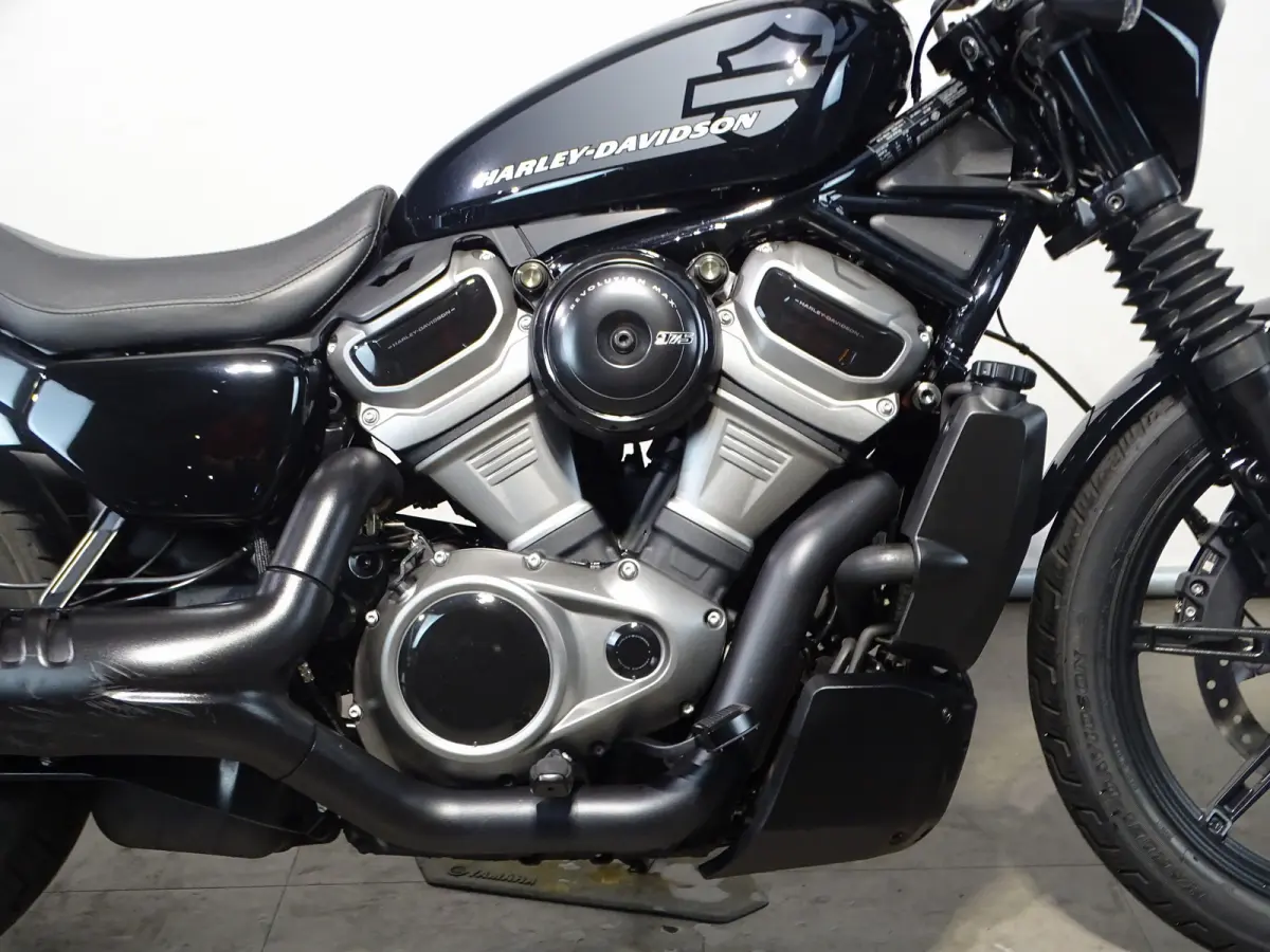 NIGHTSTER