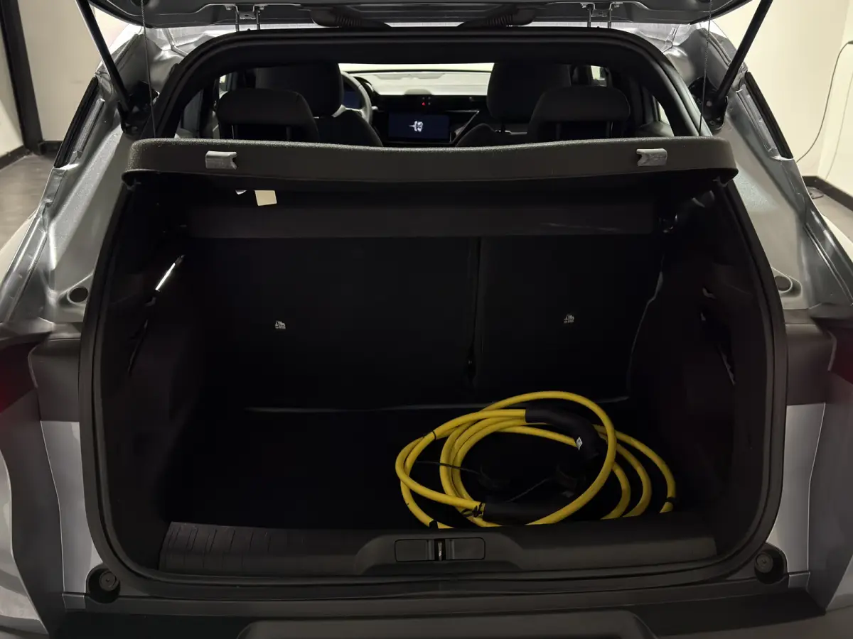 Elettrica 54 kWh | Warmtepomp | ACC met stop & go | Apple CarPlay - Android Auto