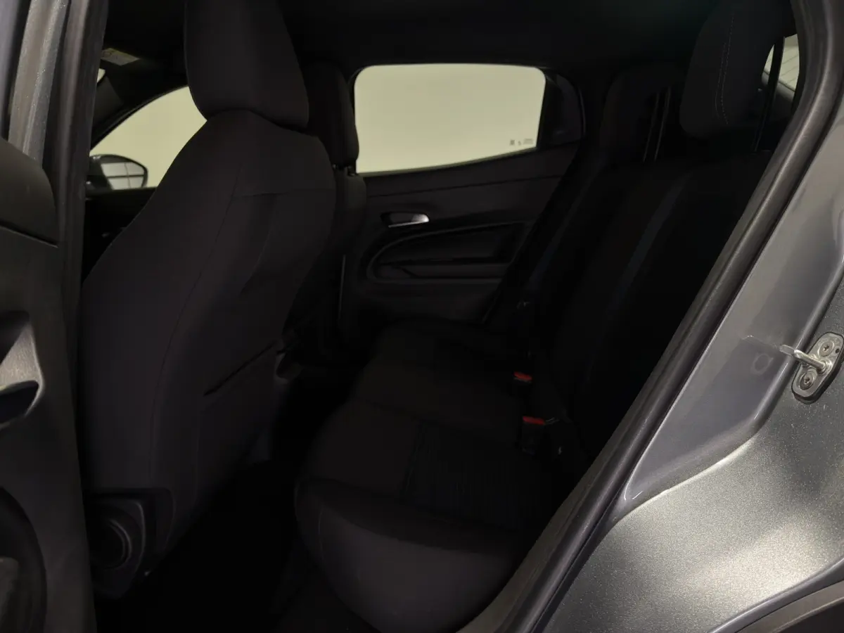 Elettrica 54 kWh | Warmtepomp | ACC met stop & go | Apple CarPlay - Android Auto