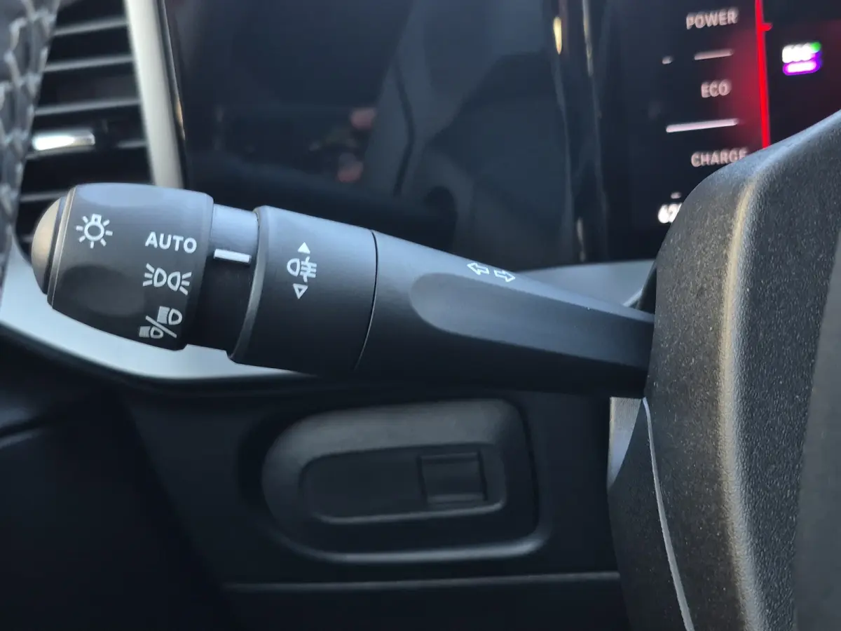 GS 54 kWh SOH 95% | Stuurverwarming | Camera | Matrix LED | Adaptive CC | Full map navigatie | Carplay/android auto |