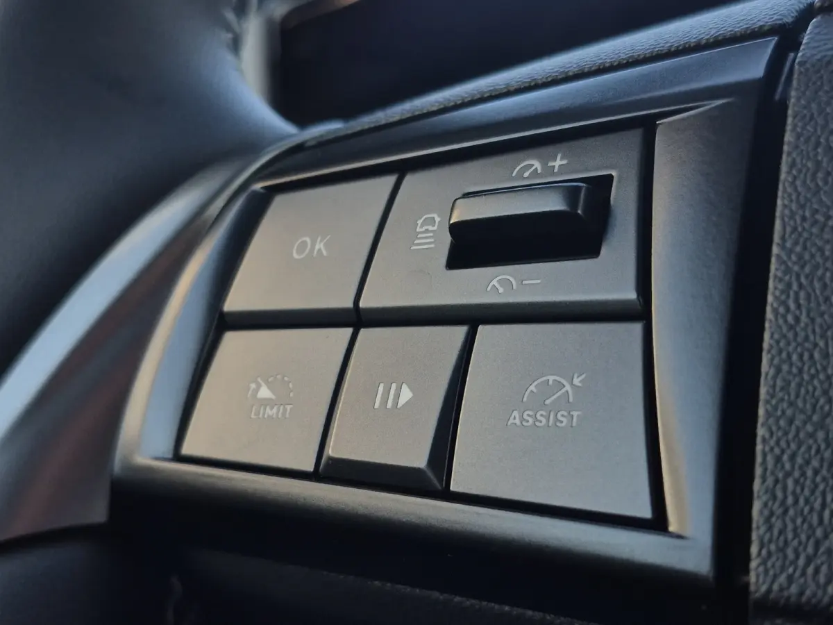 GS 54 kWh SOH 95% | Stuurverwarming | Camera | Matrix LED | Adaptive CC | Full map navigatie | Carplay/android auto |