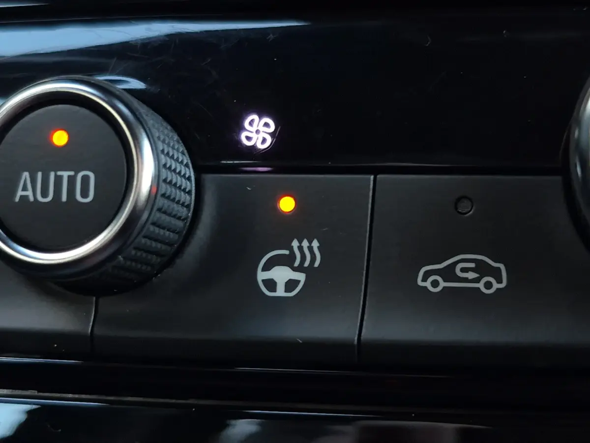GS 54 kWh SOH 95% | Stuurverwarming | Camera | Matrix LED | Adaptive CC | Full map navigatie | Carplay/android auto |