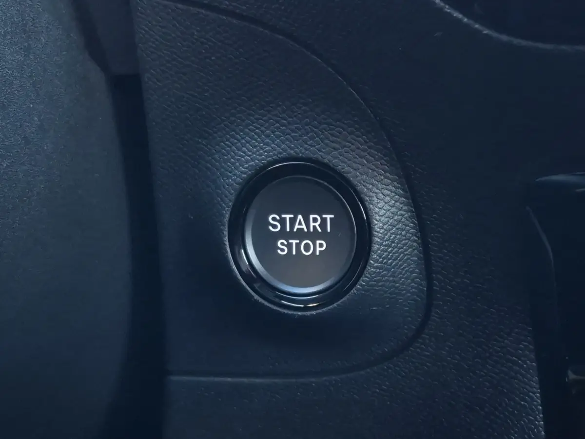 GS 54 kWh SOH 95% | Stuurverwarming | Camera | Matrix LED | Adaptive CC | Full map navigatie | Carplay/android auto |