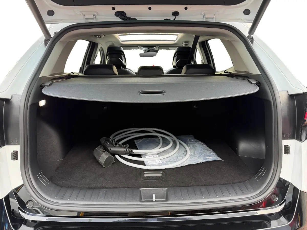 1.6 T-GDi Plug-in Hybrid AWD DynamicPlusLine 1e Eigenaar | Fabrieksgarantie t/m 16-2-2031 + 3x 1 jaar* | NAP
