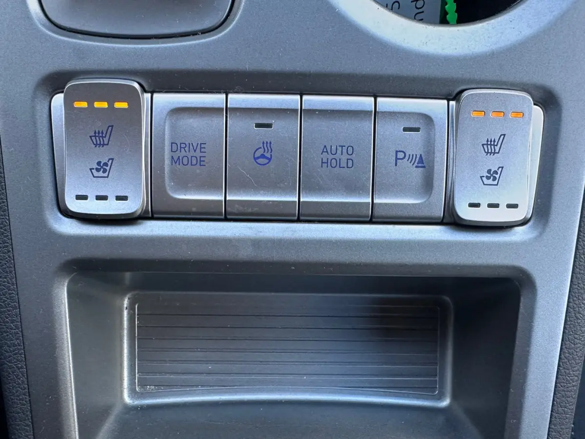 EV Premium 64 kWh WPOMP TREKHAAK SOH 99% 1 EIG DEALER OND HEAD-UP
