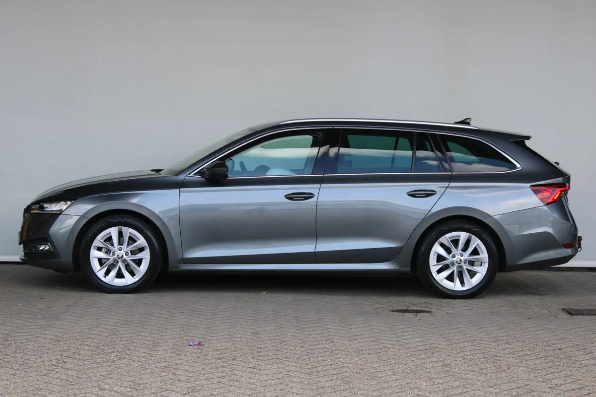 1.0 e-TSI Business Edition Plus | Trekhaak wegklapbaar | Dode-hoekdetectie | Elektrische achterklep | ACC |