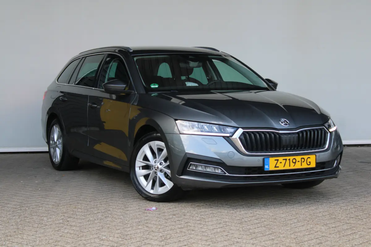 1.0 e-TSI Business Edition Plus | Trekhaak wegklapbaar | Dode-hoekdetectie | Elektrische achterklep | ACC |