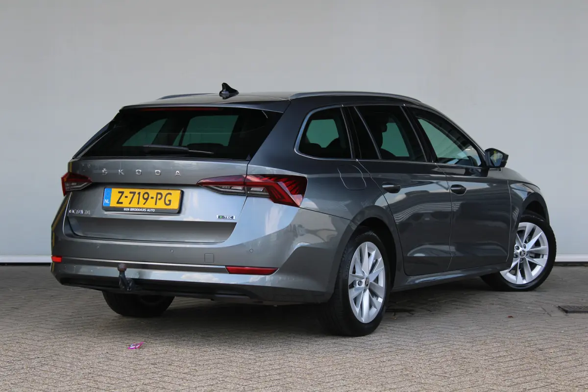 1.0 e-TSI Business Edition Plus | Trekhaak wegklapbaar | Dode-hoekdetectie | Elektrische achterklep | ACC |