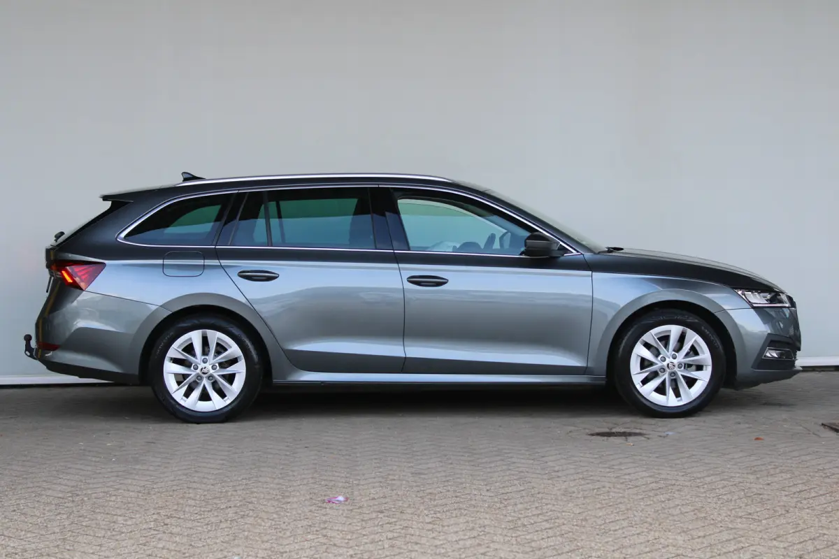 1.0 e-TSI Business Edition Plus | Trekhaak wegklapbaar | Dode-hoekdetectie | Elektrische achterklep | ACC |